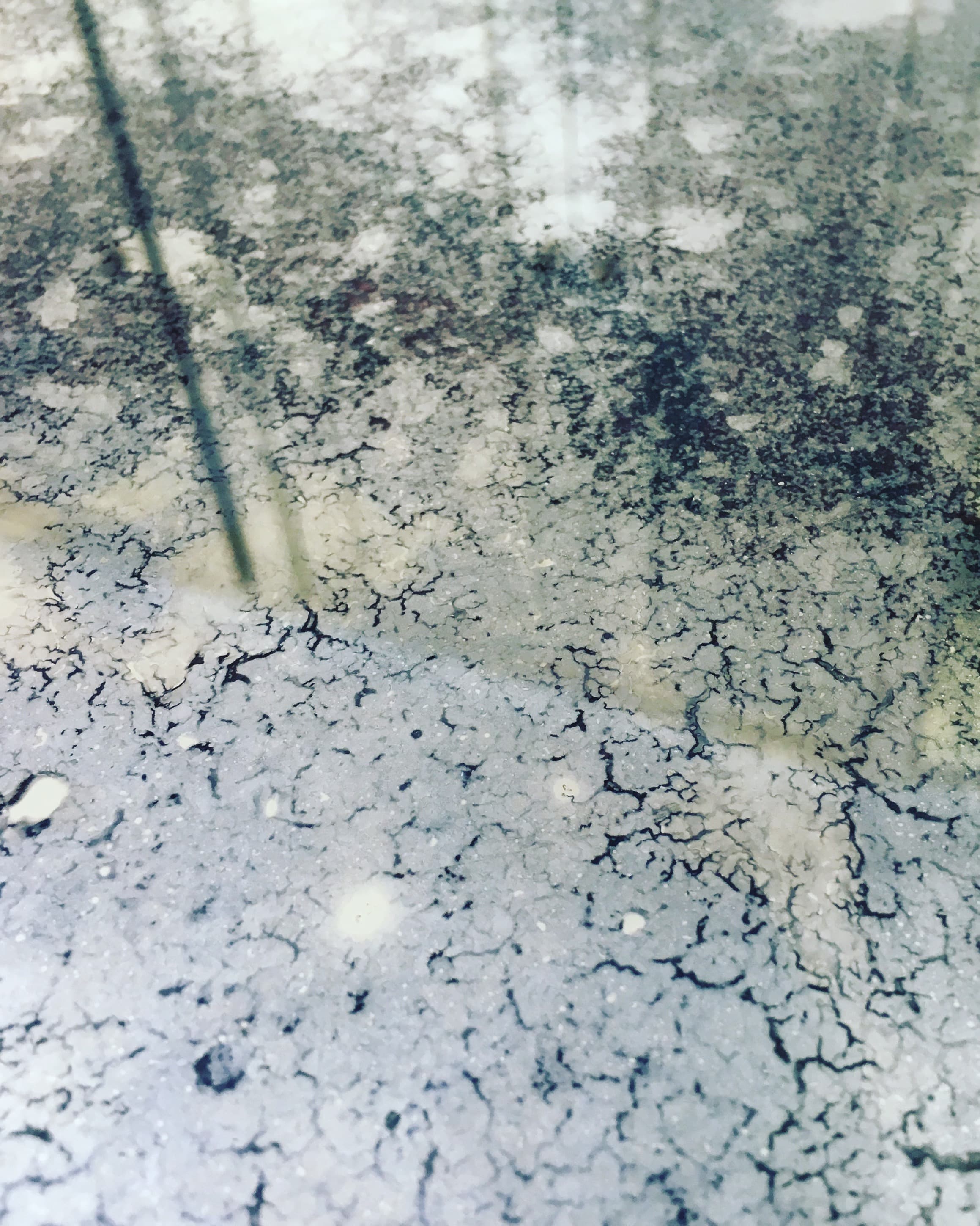 Spoilt Mirror samples gallery showcasing different mirror finishes and types