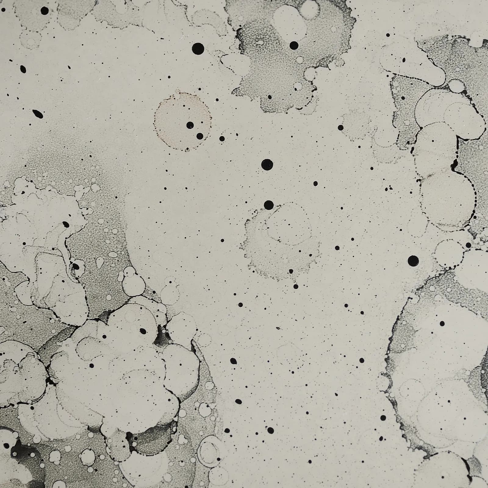 Fossil mirror finish with handcrafted patina and vintage character